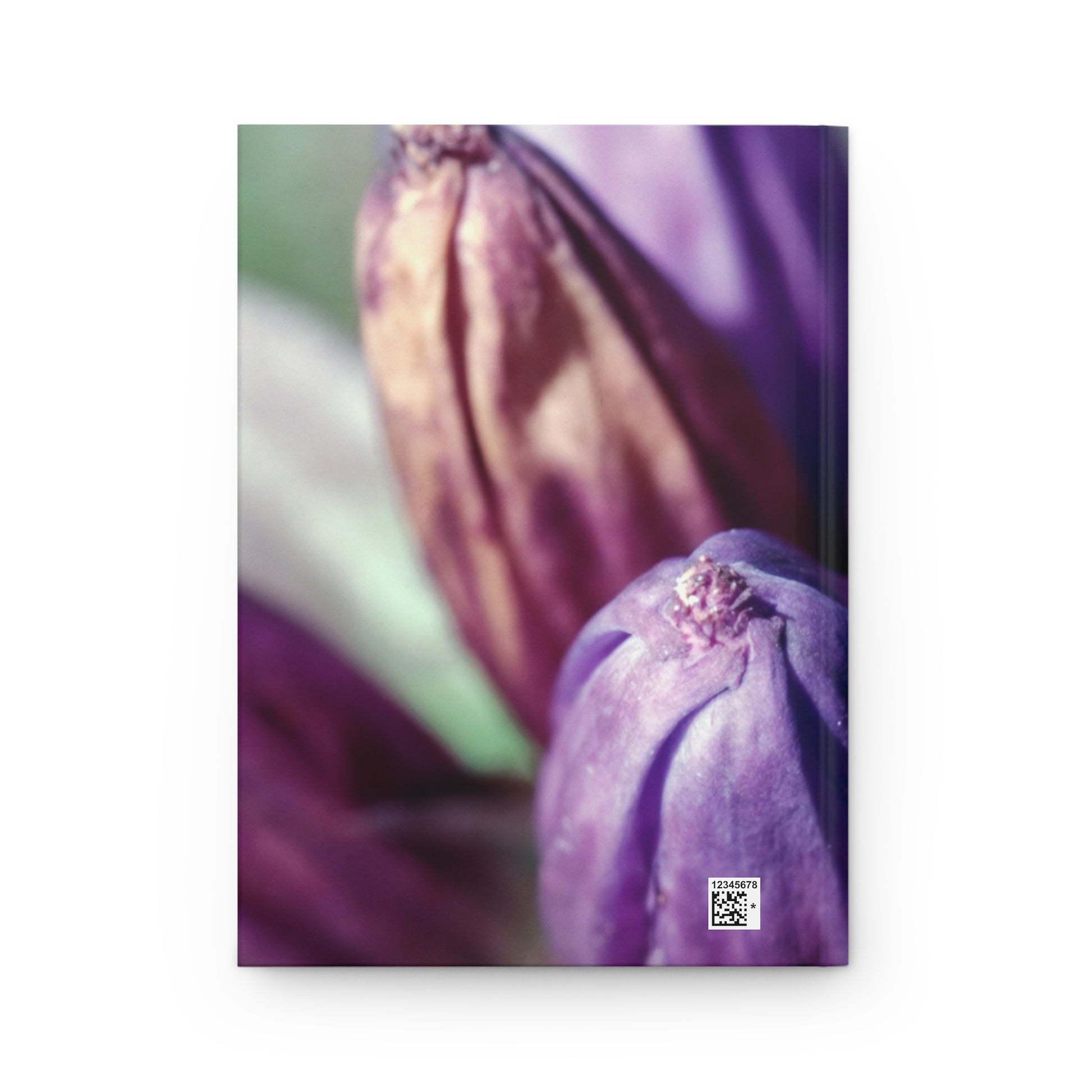 September Purple Petals :: Journal - Trevor & Vincent