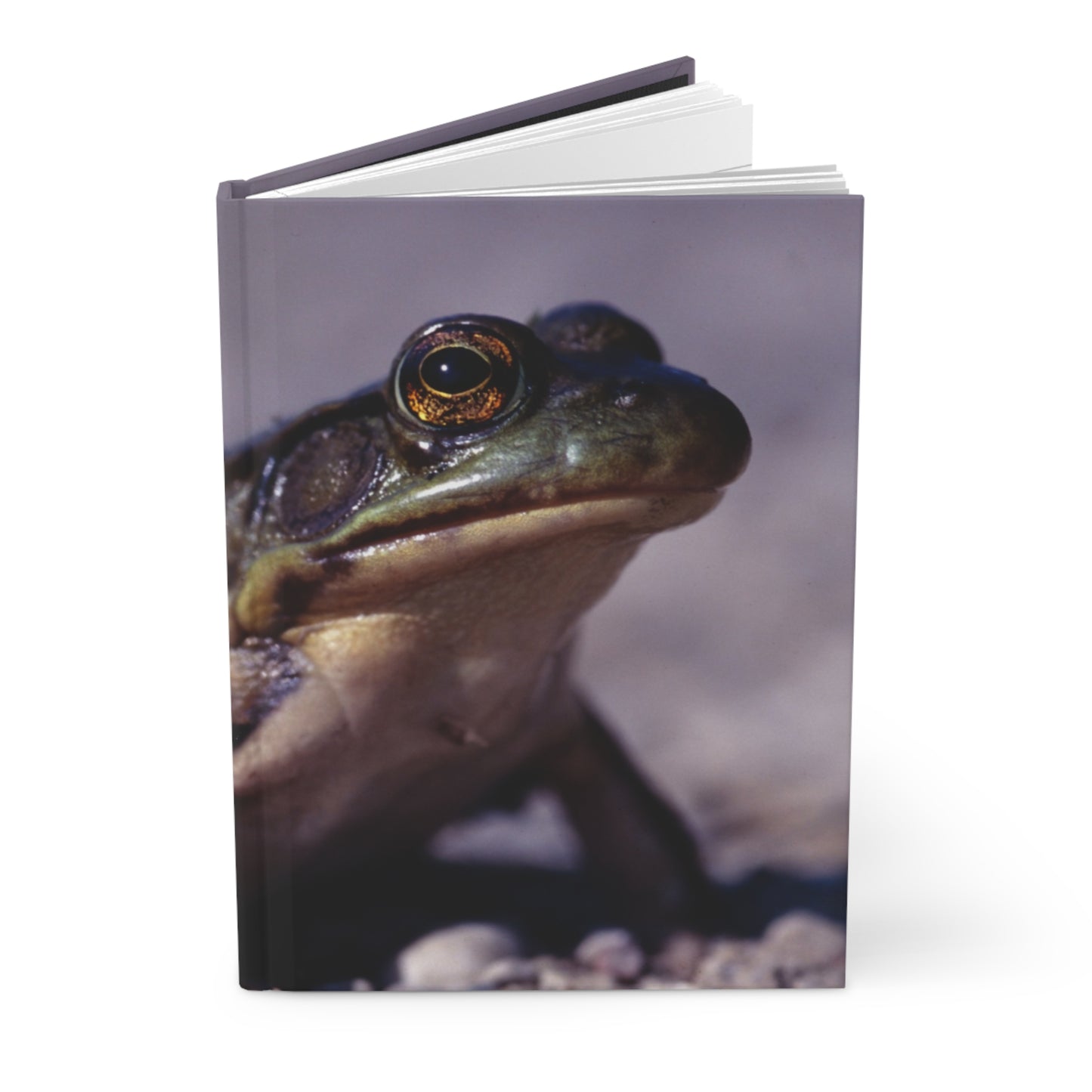 Ribbit! - Hardcover Journal Matte