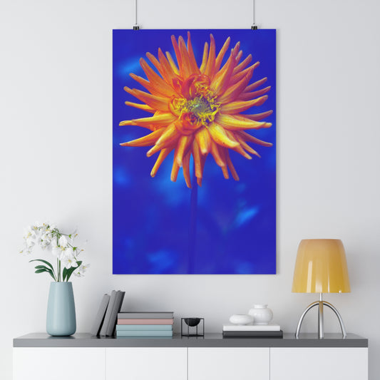 Retro Dahlia - Giclée Fine Art Print