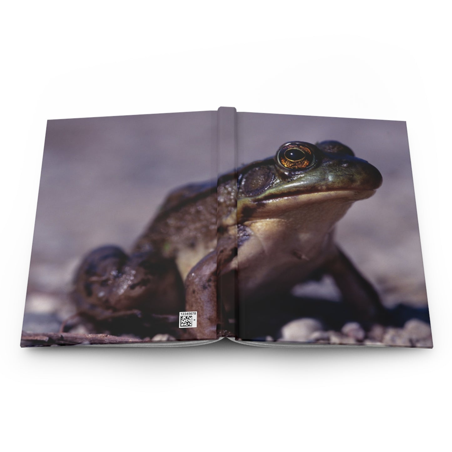 Ribbit! - Hardcover Journal Matte