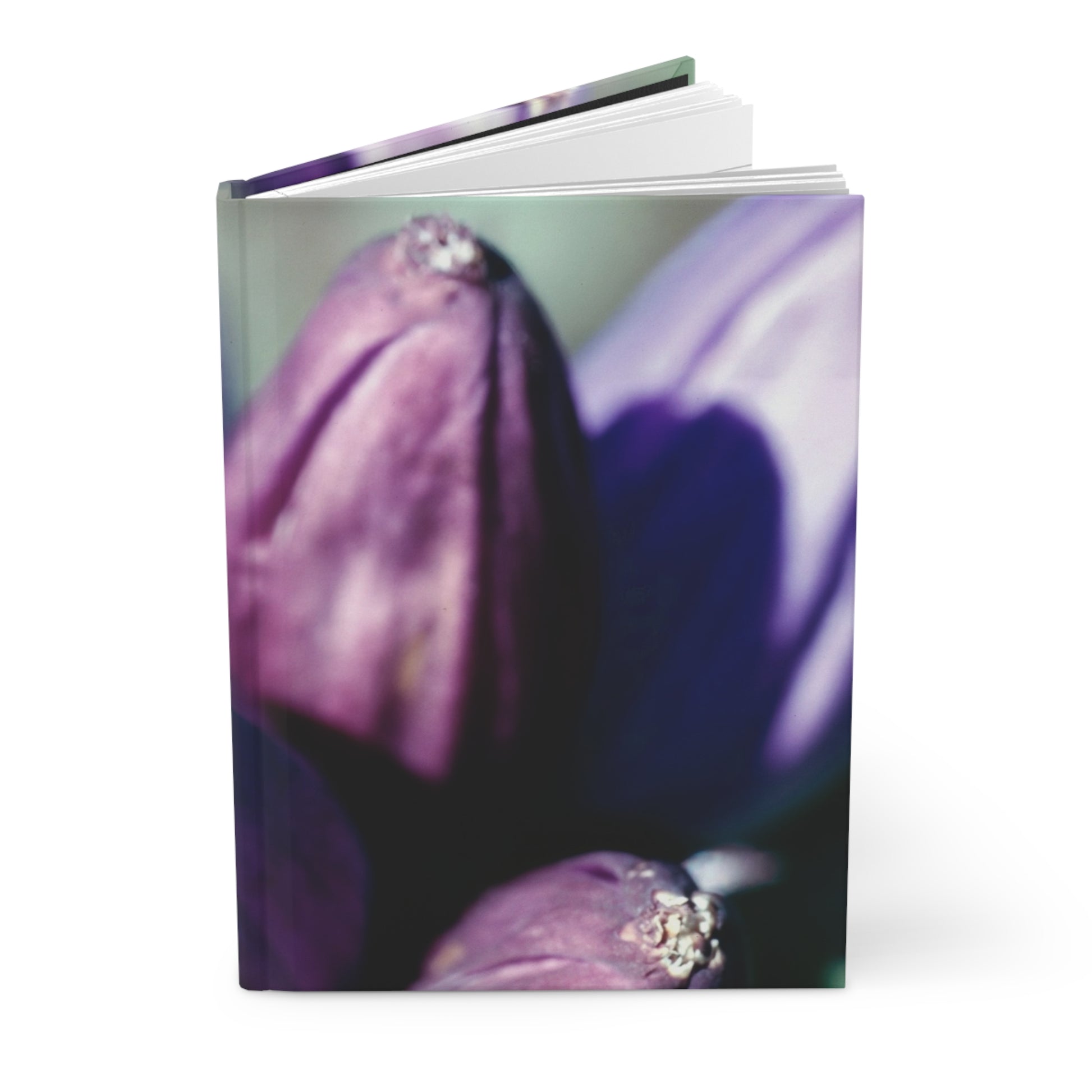 September Purple Petals :: Journal - Trevor & Vincent