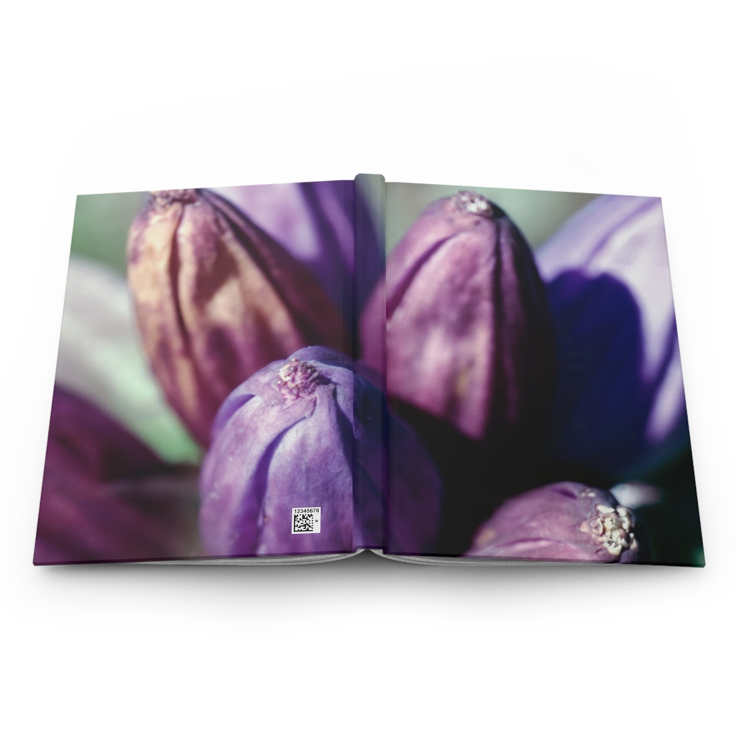 September Purple Petals :: Journal - Trevor & Vincent