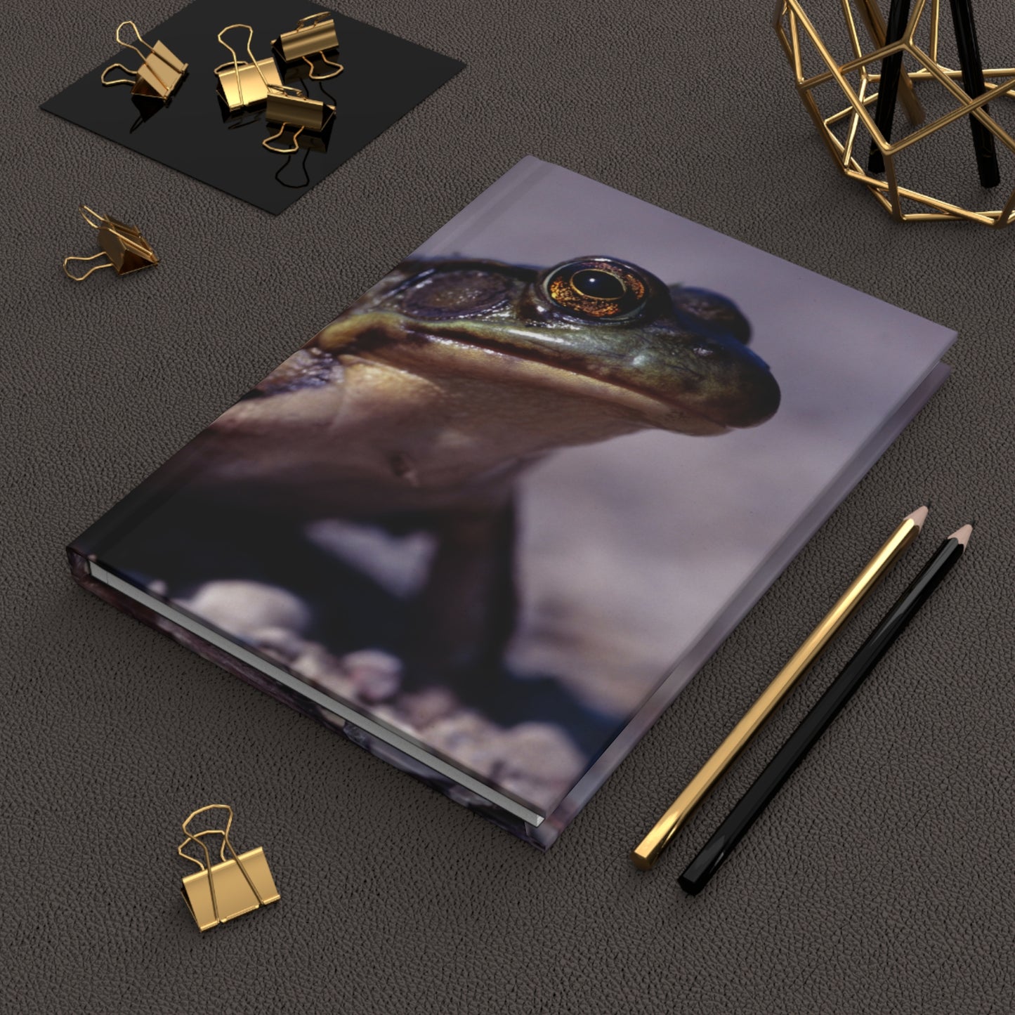 Ribbit! - Hardcover Journal Matte