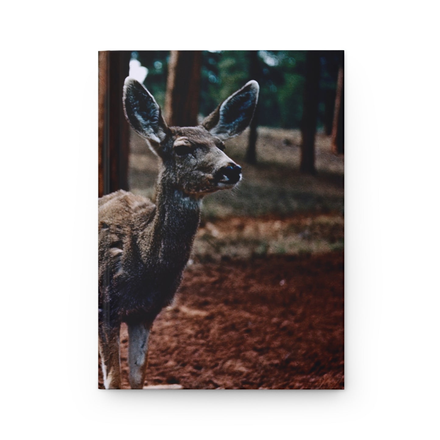 Hello, Deer! :: Journal - Trevor & Vincent