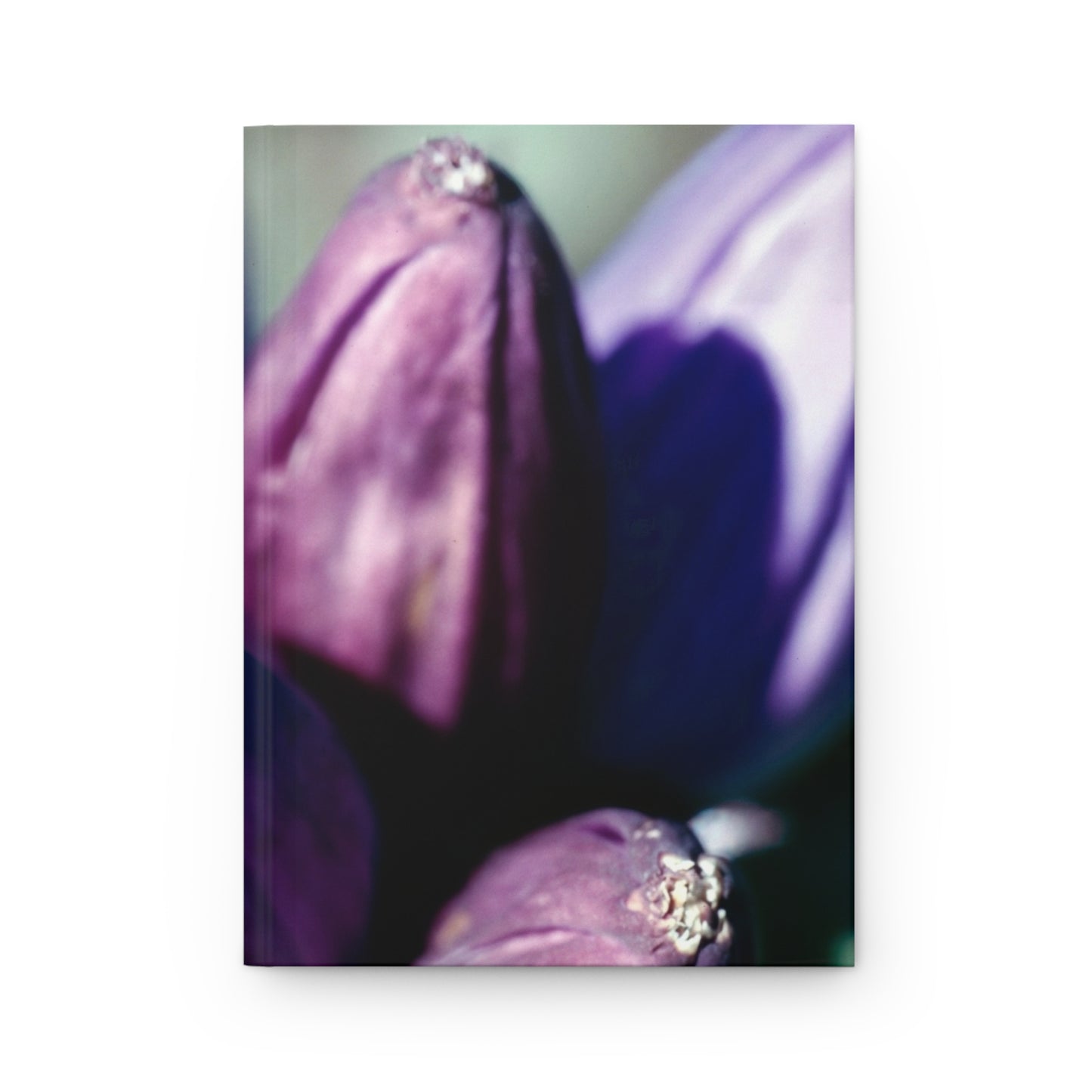 September Purple Petals :: Journal - Trevor & Vincent