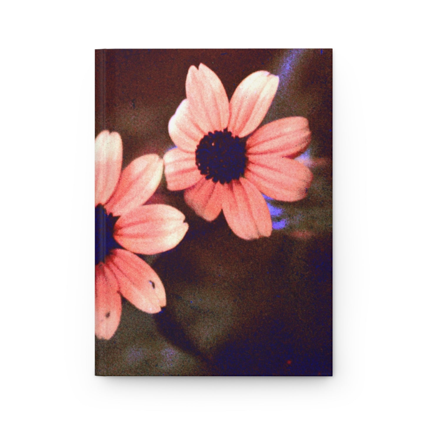 Pink Daisy at Dusk - Hardcover Journal Matte