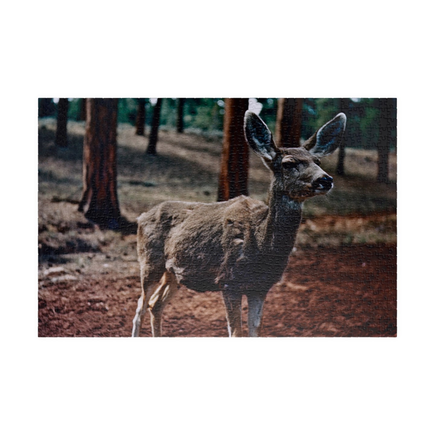 Hello, Deer! - Collector's Edition Jigsaw Puzzle