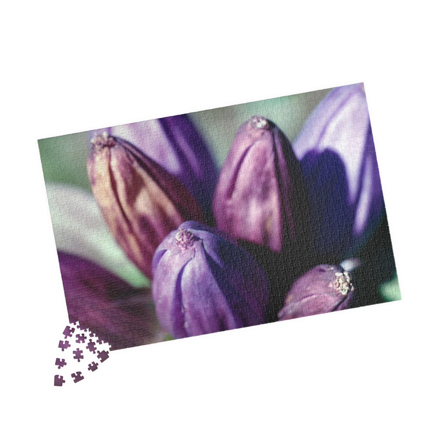 September Purple Petals - Puzzle