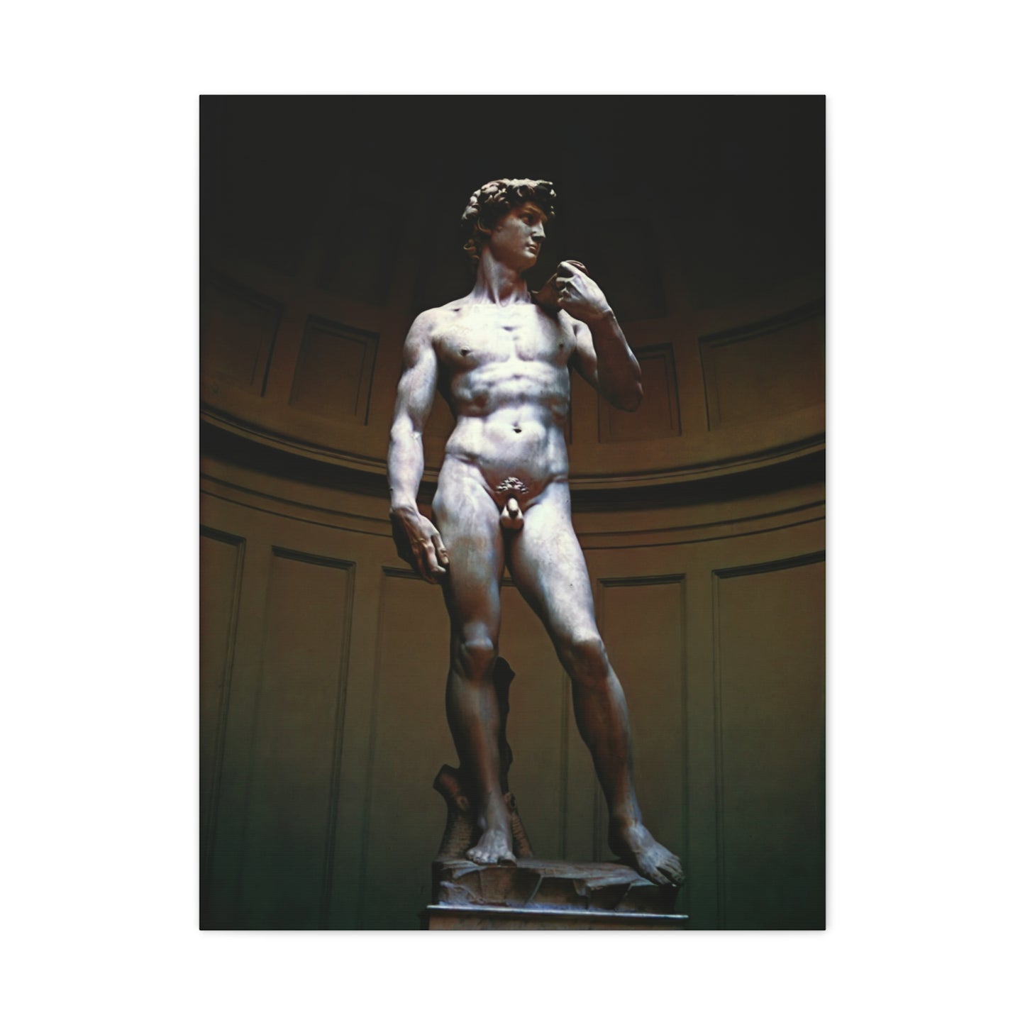 David (Michelangelo) - Matte Canvas, Stretched, 1.25"