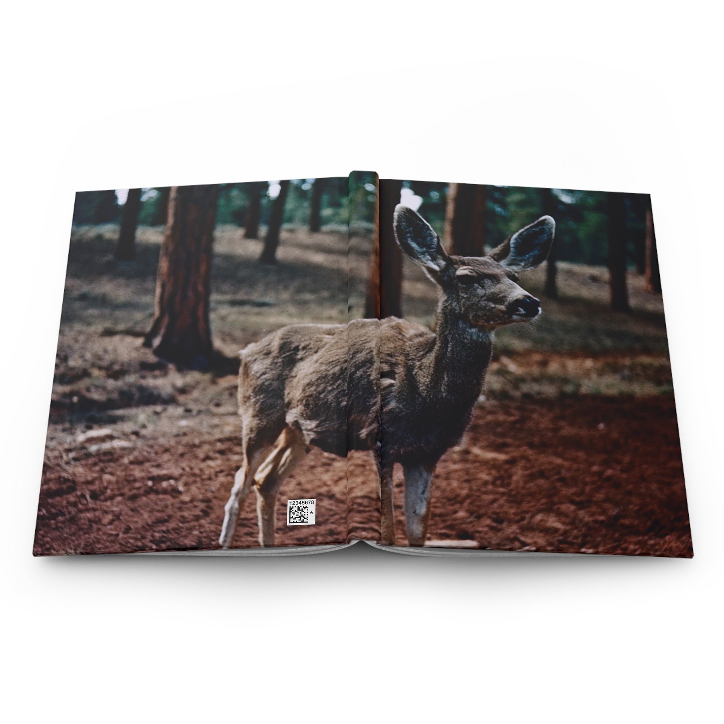 Hello, Deer! :: Journal - Trevor & Vincent