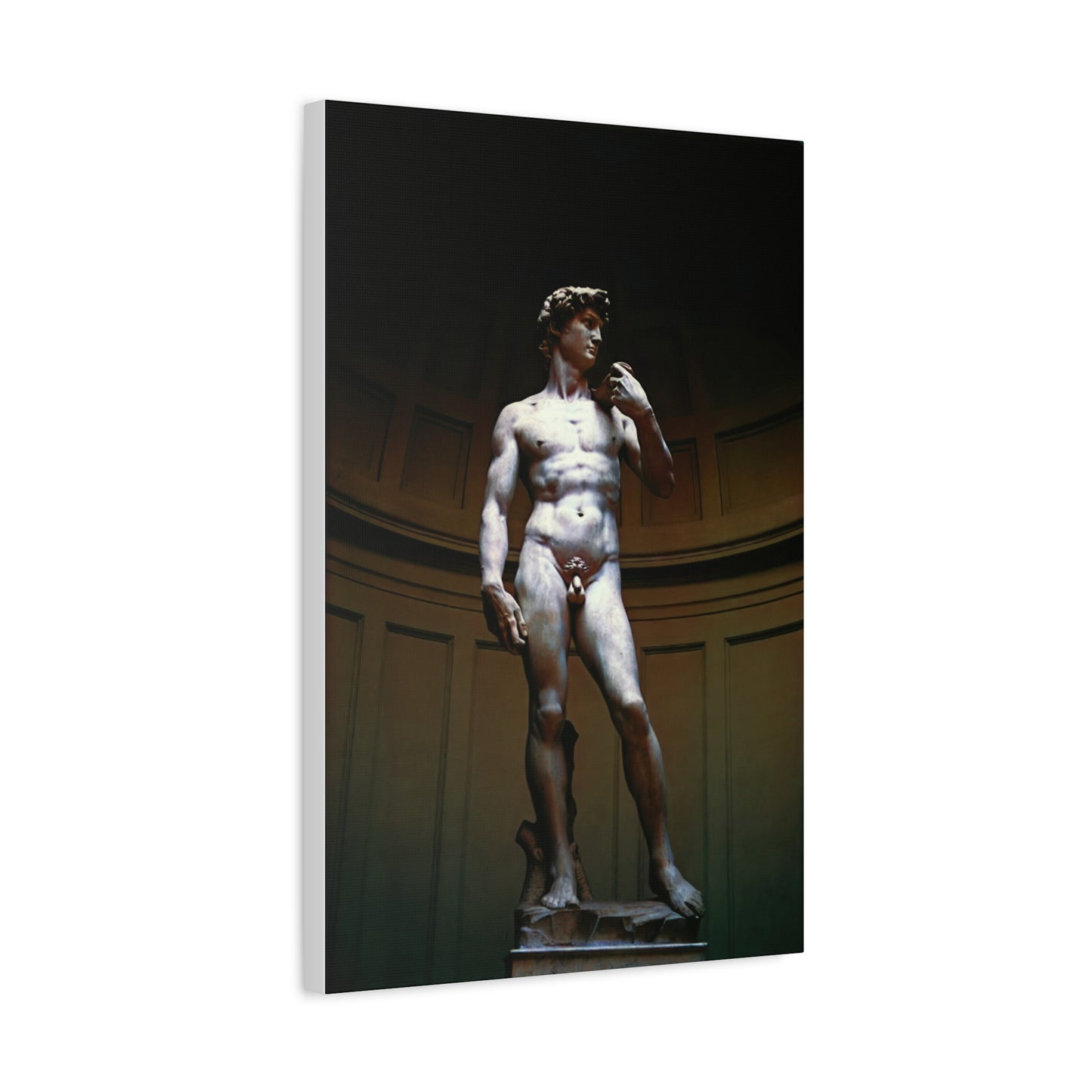 David (Michelangelo) - Matte Canvas, Stretched, 1.25"