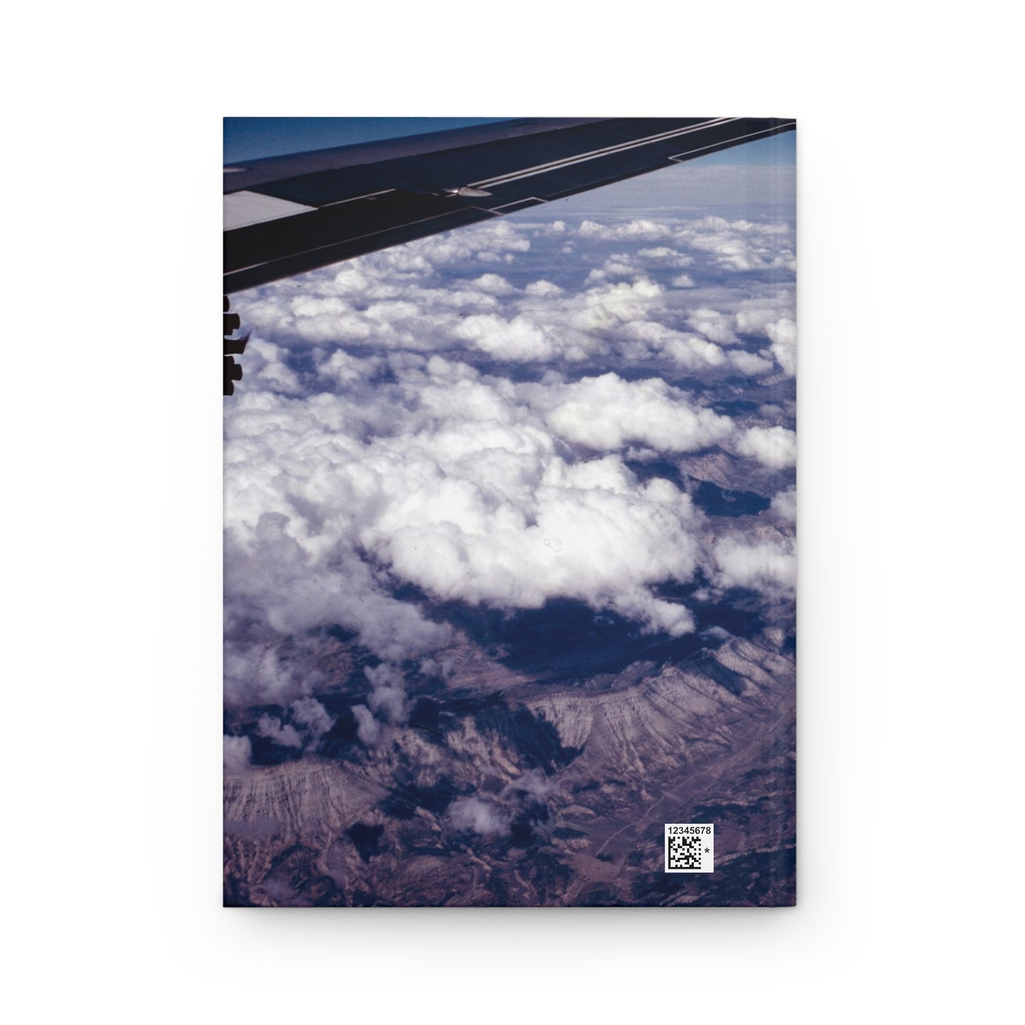 Mountains From Above :: Journal - Trevor & Vincent