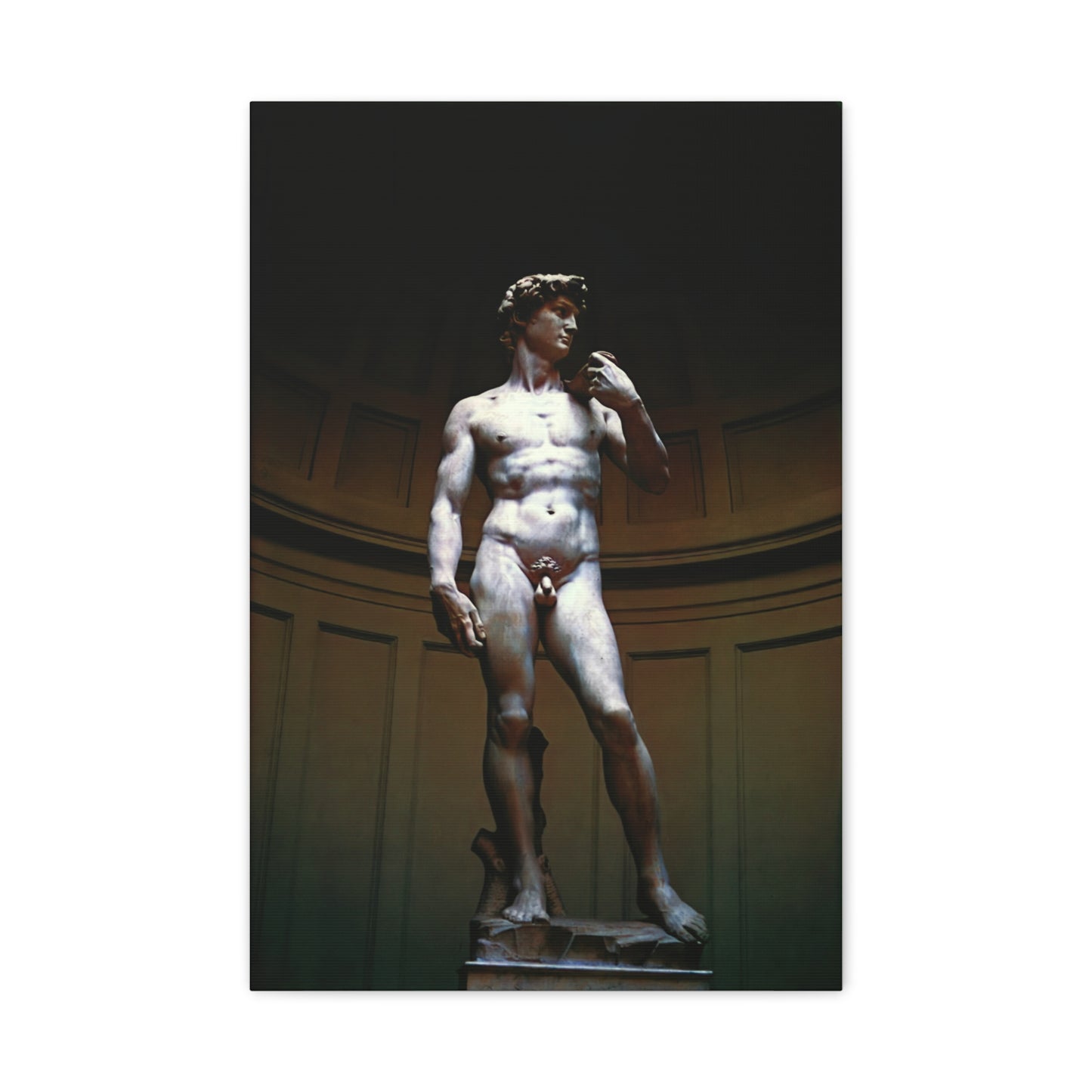 David (Michelangelo) - Matte Canvas, Stretched, 1.25"