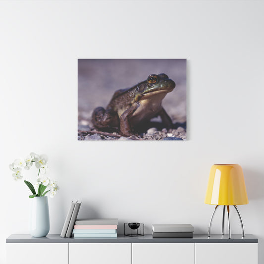 Ribbit! - Matte Canvas, Stretched, 1.25 in