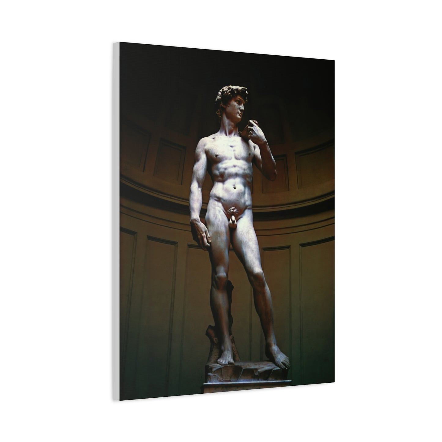 David (Michelangelo) - Matte Canvas, Stretched, 1.25"