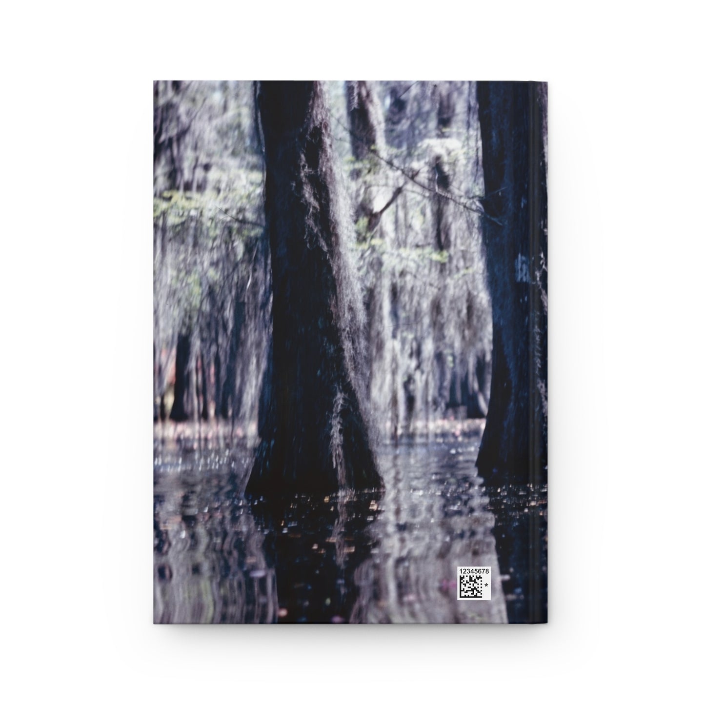 Old Backwaters :: Journal - Trevor & Vincent