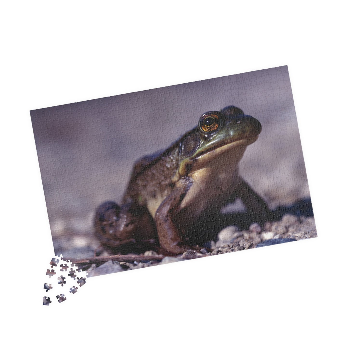 Ribbit! - Jigsaw Puzzle